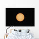 Sunspots Sun's Surface Wall Decal
