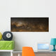 Panorama Milky Way Wall Decal