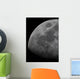 Limb and Terminator Waxing Wall Decal