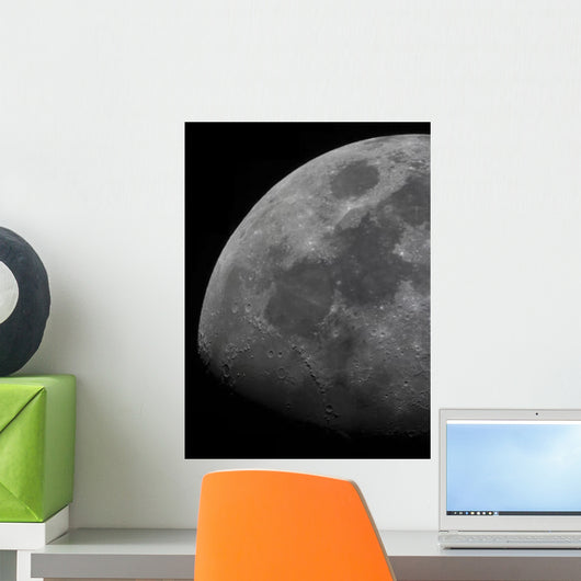 Limb and Terminator Waxing Wall Decal