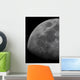 Limb and Terminator Waxing Wall Decal