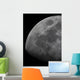 Limb and Terminator Waxing Wall Decal