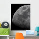 Limb and Terminator Waxing Wall Decal