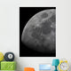 Limb and Terminator Waxing Wall Decal