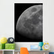 Limb and Terminator Waxing Wall Decal
