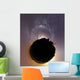 Milky Way and Zodiacal Wall Decal
