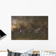 Milky Way Wall Decal