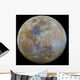 Almost Full Moon Color Wall Decal
