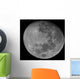 Waxing Gibbous Moon High Wall Decal