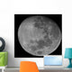 Waxing Gibbous Moon High Wall Decal