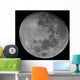 Waxing Gibbous Moon High Wall Decal