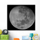 Waxing Gibbous Moon High Wall Decal