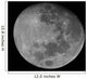 Waxing Gibbous Moon High Wall Decal