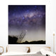 Milky Way above Rural Wall Decal Design 2