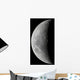 Waxing Crescent Moon High Wall Decal Design 2