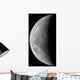 Waxing Crescent Moon High Wall Decal Design 2