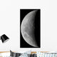 Waxing Crescent Moon High Wall Decal Design 2