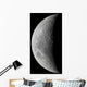 Waxing Crescent Moon High Wall Decal Design 2
