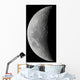 Waxing Crescent Moon High Wall Decal Design 2