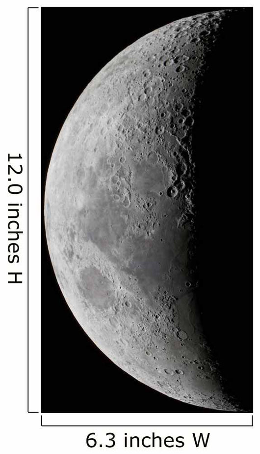 Waxing Crescent Moon High Wall Decal Design 2