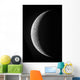 Waxing Crescent Moon High Wall Decal Design 1