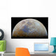 Moon with Transient Lunar-x Wall Decal