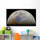 Moon with Transient Lunar-x Wall Decal