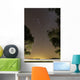 Orion Constellation between Trees Wall Decal