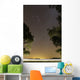 Orion Constellation between Trees Wall Decal