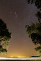 Orion Constellation between Trees Wall Decal