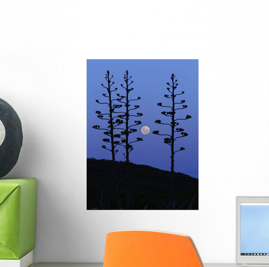 Moon Rising between Agave Wall Decal