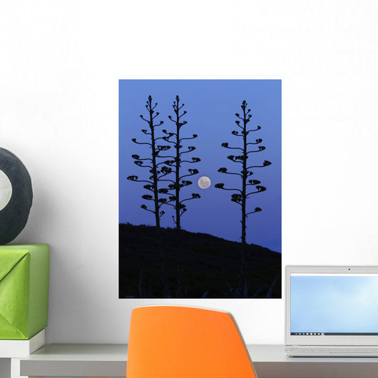 Moon Rising between Agave Wall Decal