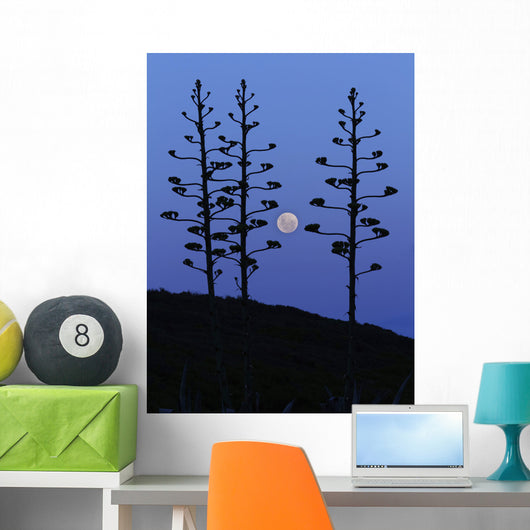 Moon Rising between Agave Wall Decal