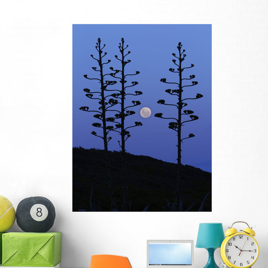 Moon Rising between Agave Wall Decal