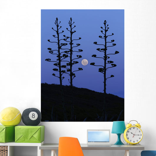 Moon Rising between Agave Wall Decal