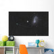 Comet Lemmon Next to Wall Decal