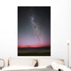 Milky Way with Aurora Wall Decal