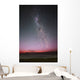 Milky Way with Aurora Wall Decal
