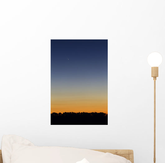 Comet Panstarrs Twilight Buenos Wall Decal