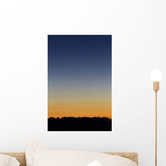 Comet Panstarrs Twilight Buenos Wall Decal