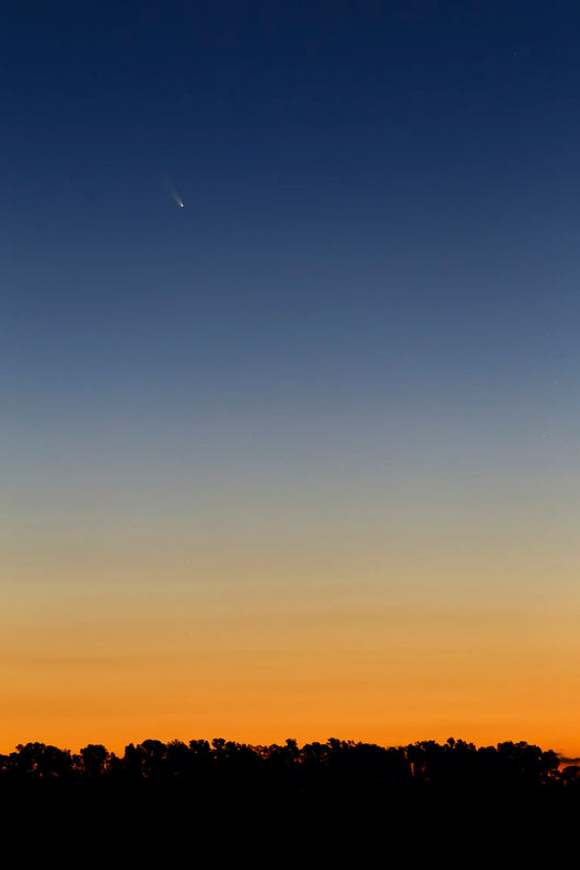 Comet Panstarrs Twilight Buenos Wall Decal
