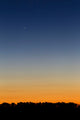 Comet Panstarrs Twilight Buenos Wall Decal