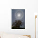 22 Degrees Halo around Wall Decal Design 1