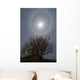 22 Degrees Halo around Wall Decal Design 1