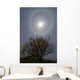 22 Degrees Halo around Wall Decal Design 1