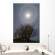 22 Degrees Halo around Wall Decal Design 1