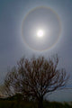 22 Degrees Halo around Wall Decal Design 1
