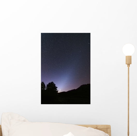 Venus Setting and Bright Wall Decal