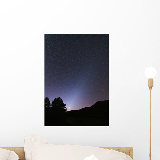 Venus Setting and Bright Wall Decal