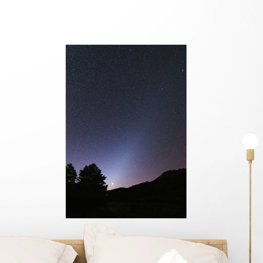 Venus Setting and Bright Wall Decal